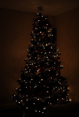 This shows the very large Christmas tree in the living room corner. The lights make the wall look like it is a different color as no other lights are on in the room.