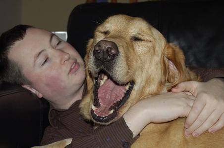 Picture of Freddie yawning straight at the camera while he's lying right across Darragh