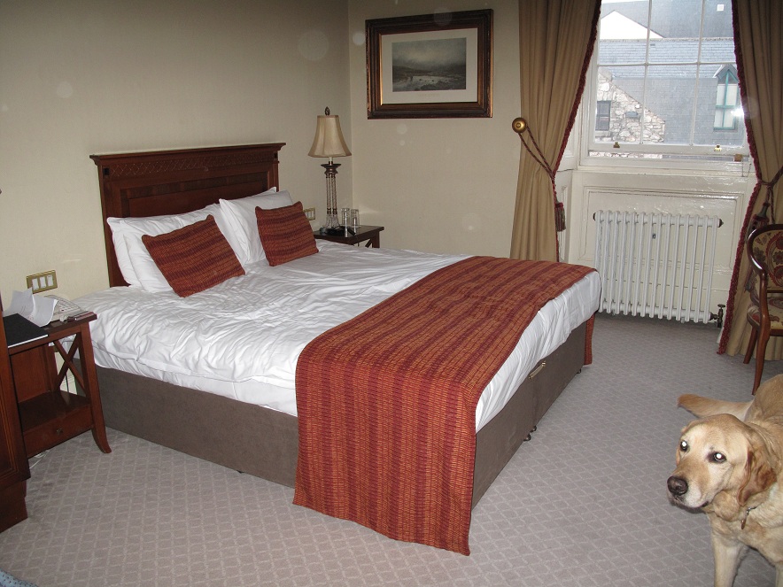 A picture of the fantasticly huge six foot plus long bed. Freddie stuck his head in too.