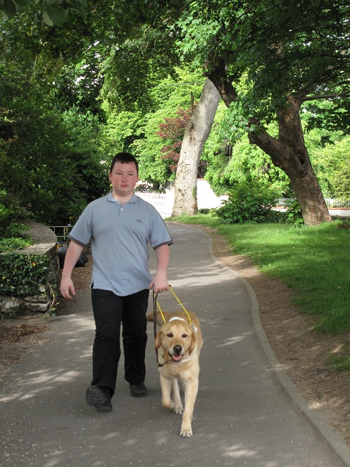 A picture of Freddie guiding me down a quiet road with a grass verge and large trees on each side.