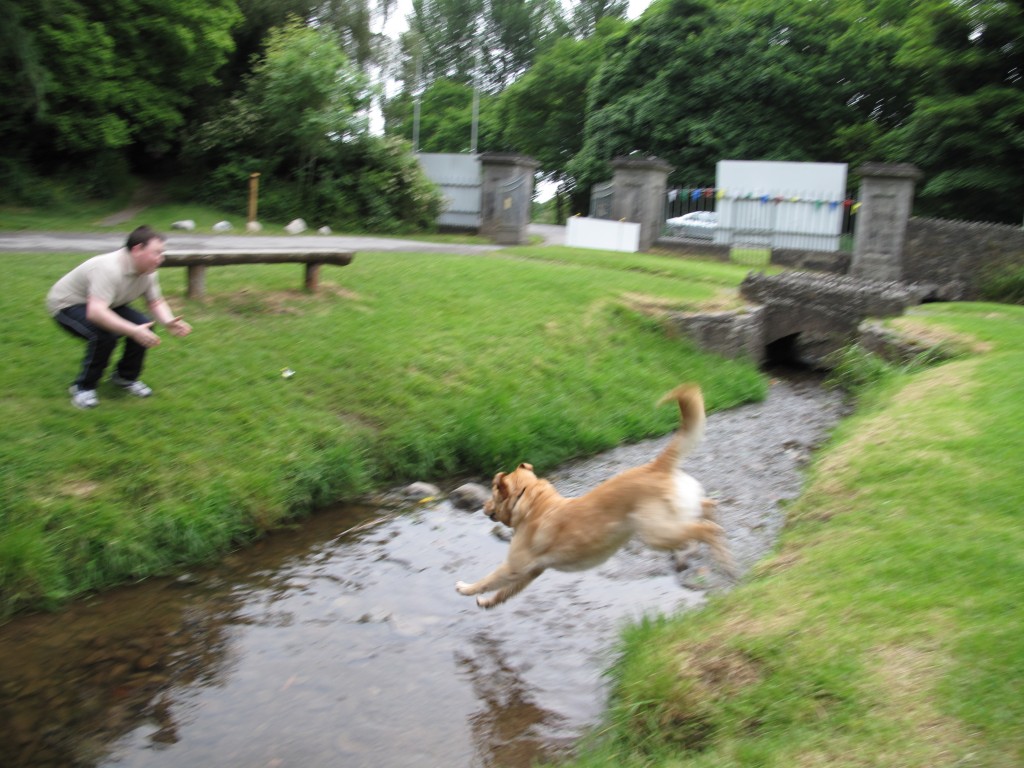 Freddie runs toward Darragh over a small stream in Townly hall outside Drogheda Freddie runs toward Darragh over a small stream in Townly hall outside Drogheda